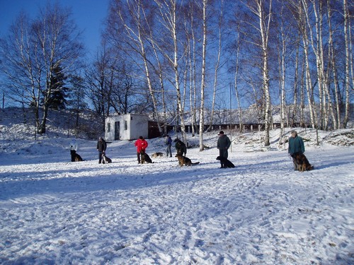 Řadovka
