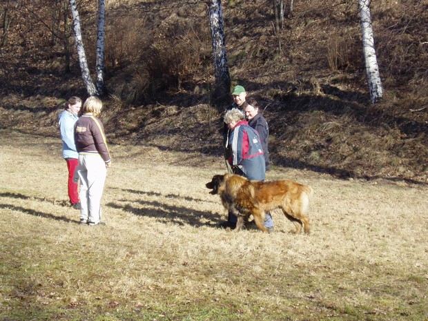 Chůze ve skupince...